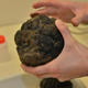 A polymetallic nodule